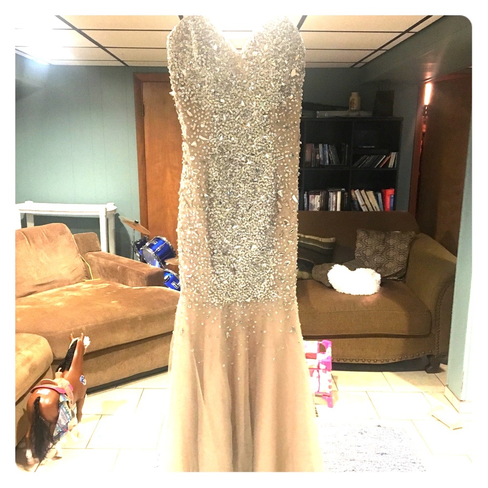 Terani Couture Special Occasion Gown